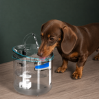 Fuente Para Mascotas Purificador de Agua