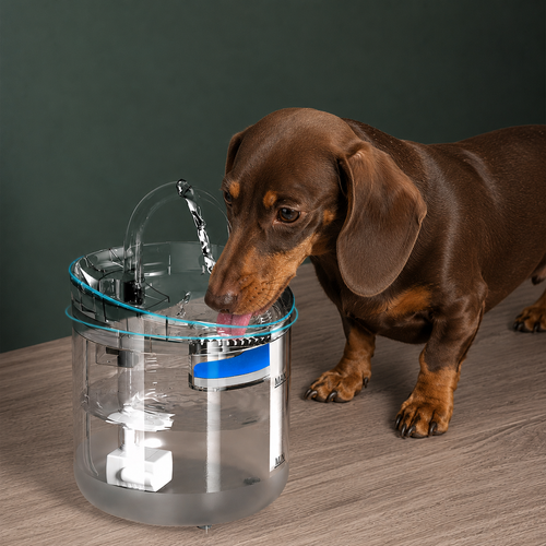 Fuente Para Mascotas Purificador de Agua